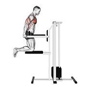 ท่า Assisted Chest Dip (kneeling)