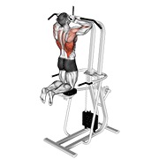 ท่า Assisted Parallel Close Grip Pull-up