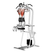 ท่า Assisted Pull-up