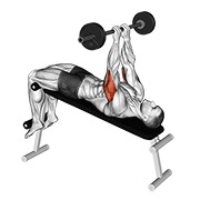 ท่า Barbell Decline Close Grip To Skull Press