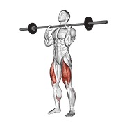 ท่า Barbell Front Chest Squat