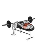 ท่า Barbell Front Raise And Pullover