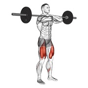 ท่า Barbell Front Squat
