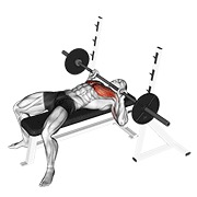 ท่า Barbell Guillotine Bench Press
