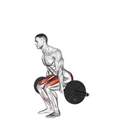 ท่า Barbell Hack Squat