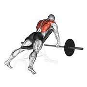 ท่า Barbell Incline Row