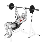 ท่า Barbell Incline Shoulder Raise