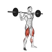 ท่า Barbell Jump Squat