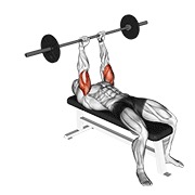 ท่า Barbell Lying Triceps Extension