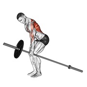 ท่า Barbell One Arm Bent Over Row