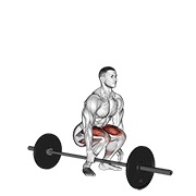 ท่า Barbell One Arm Side Deadlift