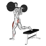 ท่า Barbell One Leg Squat