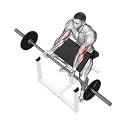 ท่า Barbell Preacher Curl
