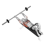 ท่า Barbell Pullover