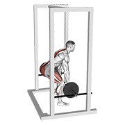 ท่า Barbell Rack Pull