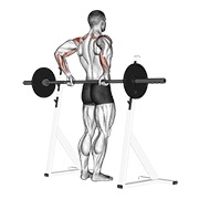 ท่า Barbell Rear Delt Raise