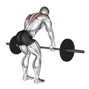 ท่า Barbell Rear Delt Row