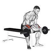 ท่า Barbell Revers Wrist Curl V. 2