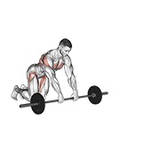 ท่า Barbell Rollerout