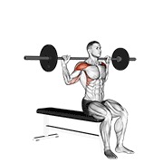 ท่า Barbell Seated Behind Head Military Press