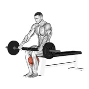 ท่า Barbell Seated Calf Raise