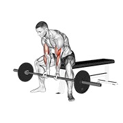 ท่า Barbell Seated Close-grip Concentration Curl