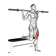 ท่า Barbell Single Leg Split Squat