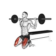 ท่า Barbell Squat (on Knees)