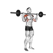 ท่า Barbell Standing Bradford Press