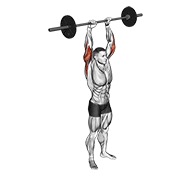 ท่า Barbell Standing Overhead Triceps Extension