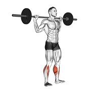 ท่า Barbell Standing Rocking Leg Calf Raise