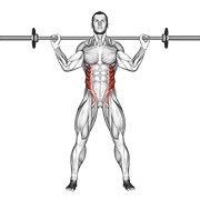 ท่า Barbell Standing Twist