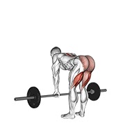 ท่า Barbell Straight Leg Deadlift