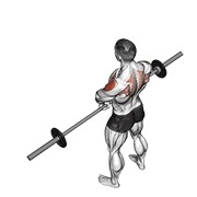 ท่า Barbell Upright Row V. 2