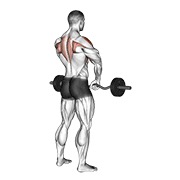 ท่า Barbell Upright Row