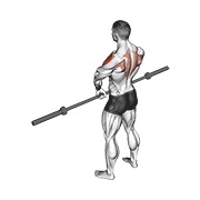 ท่า Barbell Upright Row V. 3