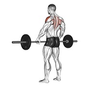 ท่า Barbell Wide-grip Upright Row