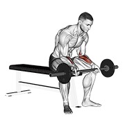 ท่า Barbell Wrist Curl V. 2