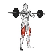 ท่า Barbell Zercher Squat