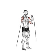 ท่า Cable Alternate Shoulder Press