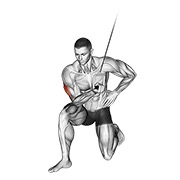 ท่า Cable Concentration Extension (on Knee)