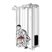 ท่า Cable Deadlift