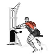 ท่า Cable Decline Seated Wide-grip Row