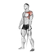 ท่า Cable Forward Raise