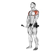 ท่า Cable Front Raise
