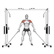 ท่า Cable Front Shoulder Raise