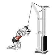 ท่า Cable Kneeling Crunch