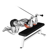 ท่า Cable Kneeling Triceps Extension
