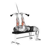 ท่า Cable Lying Close-grip Curl