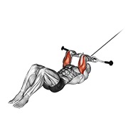 ท่า Cable Lying Triceps Extension V. 2